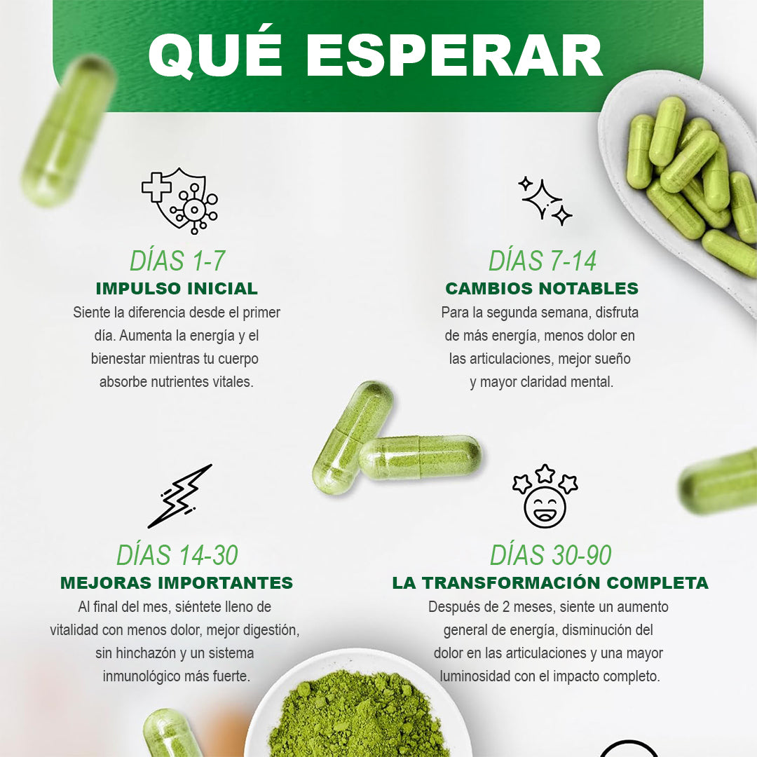 Cápsulas de Moringa Pura - 800mg Superalimento Natural para la Vitalidad y el Bienestar
